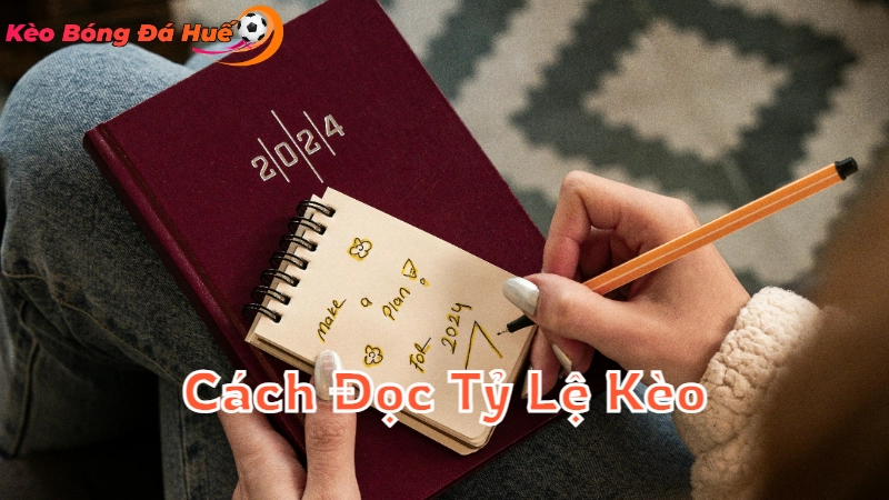 Cách Đọc Tỷ Lệ Kèo Nhà Cái Chuẩn 2024