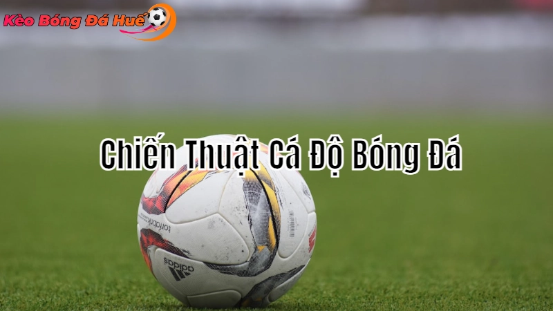 Chiến Thuật Cá Độ Bóng Đá Thành Công