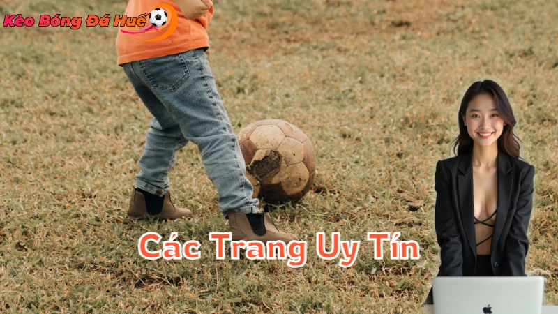 Mẹo Cá Độ Bóng Đá Tại Các Trang Uy Tín