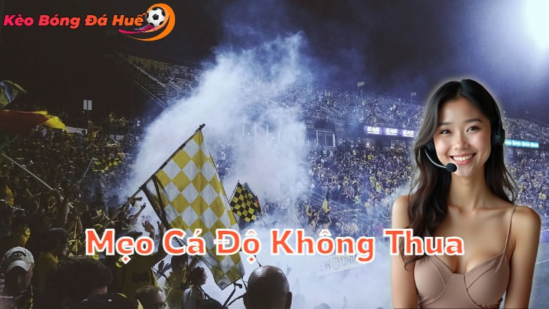 Mẹo Cá Độ Không Thua Dành Cho Người Mới